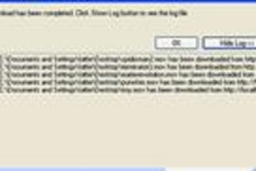 File Downloader预览：